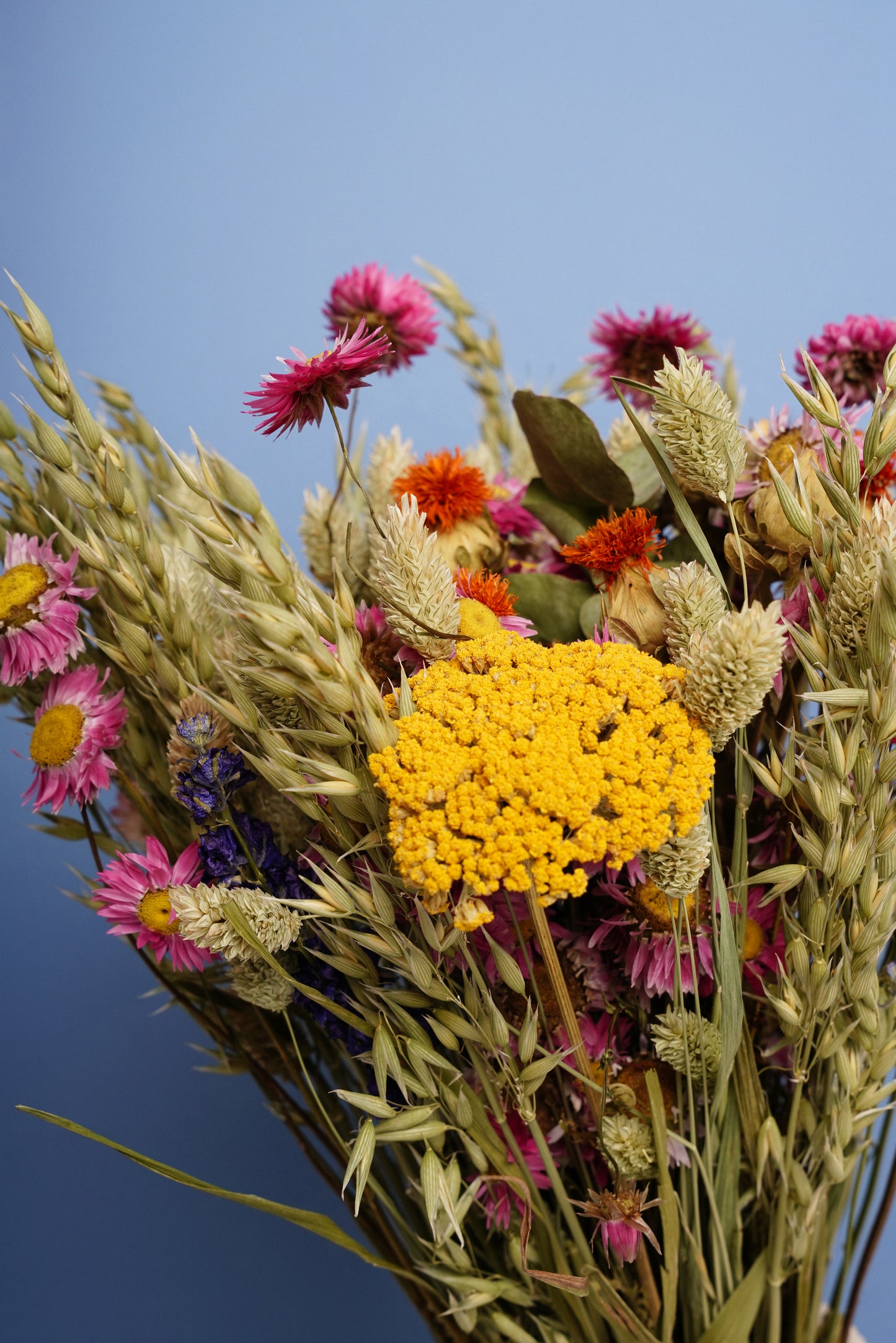Bouquet Campo