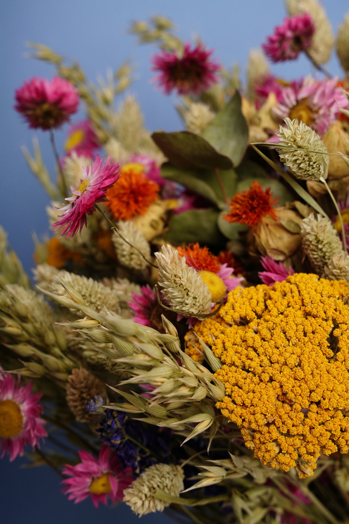 Bouquet Campo