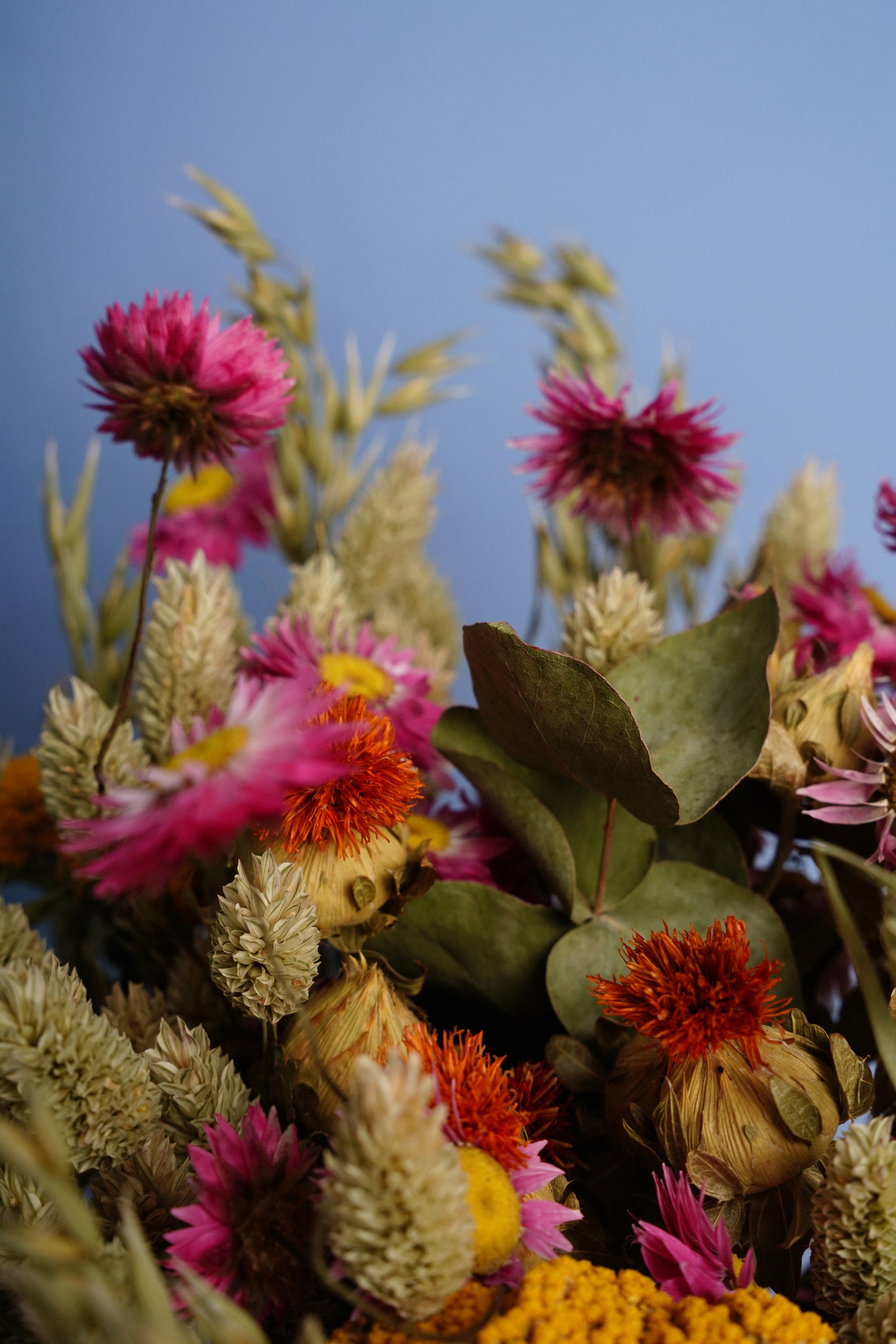 Bouquet Campo