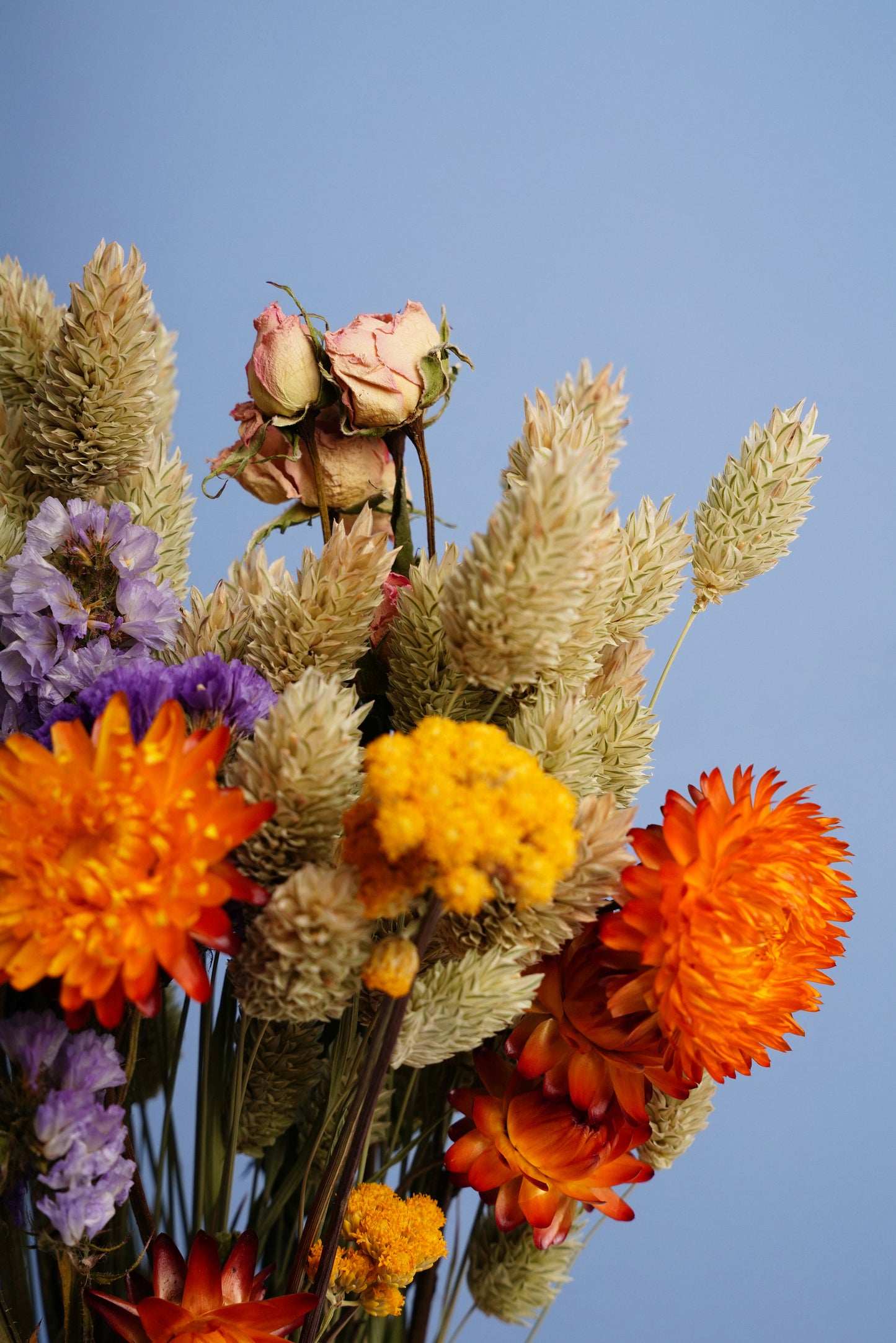 Felix Bouquet