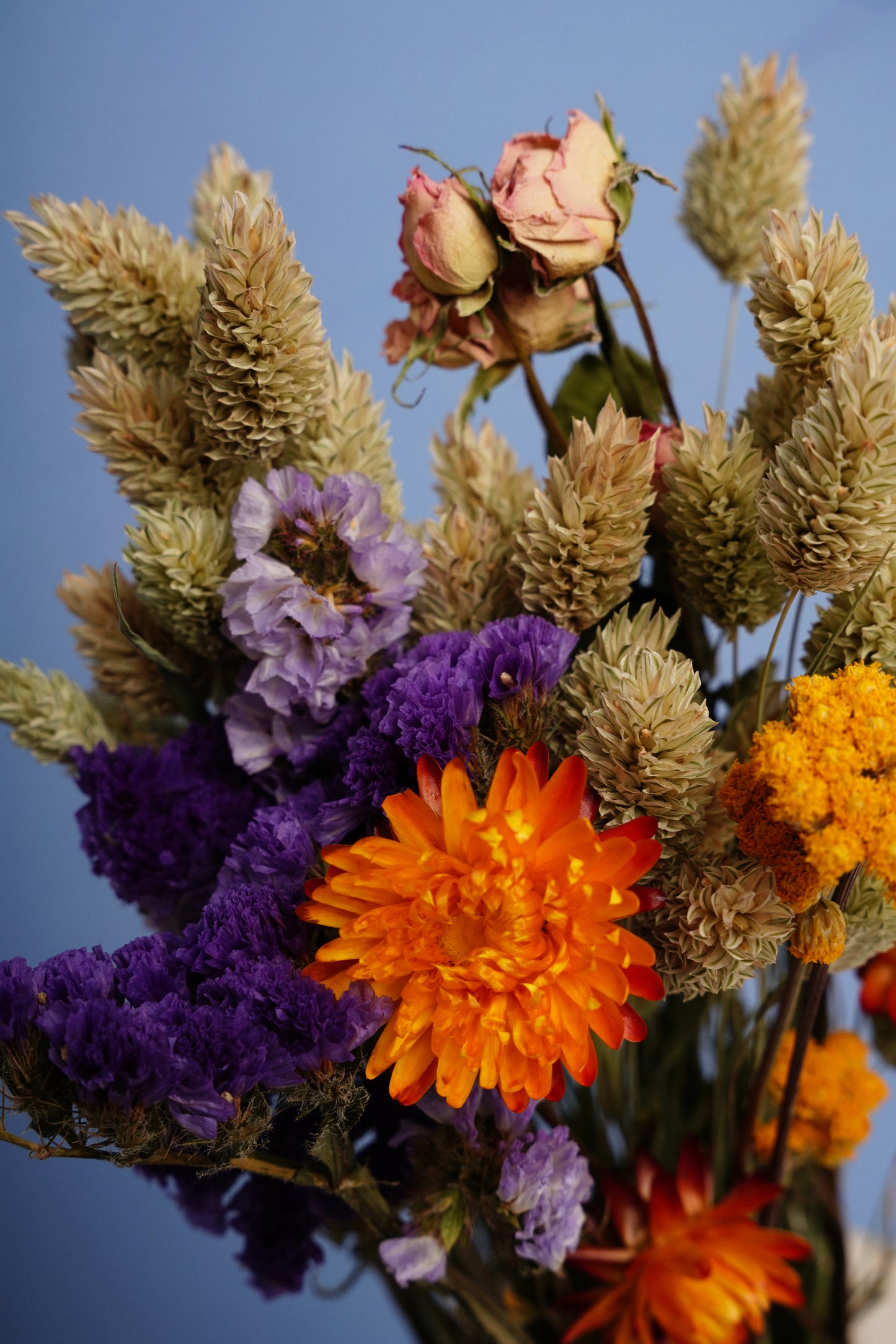 Felix Bouquet