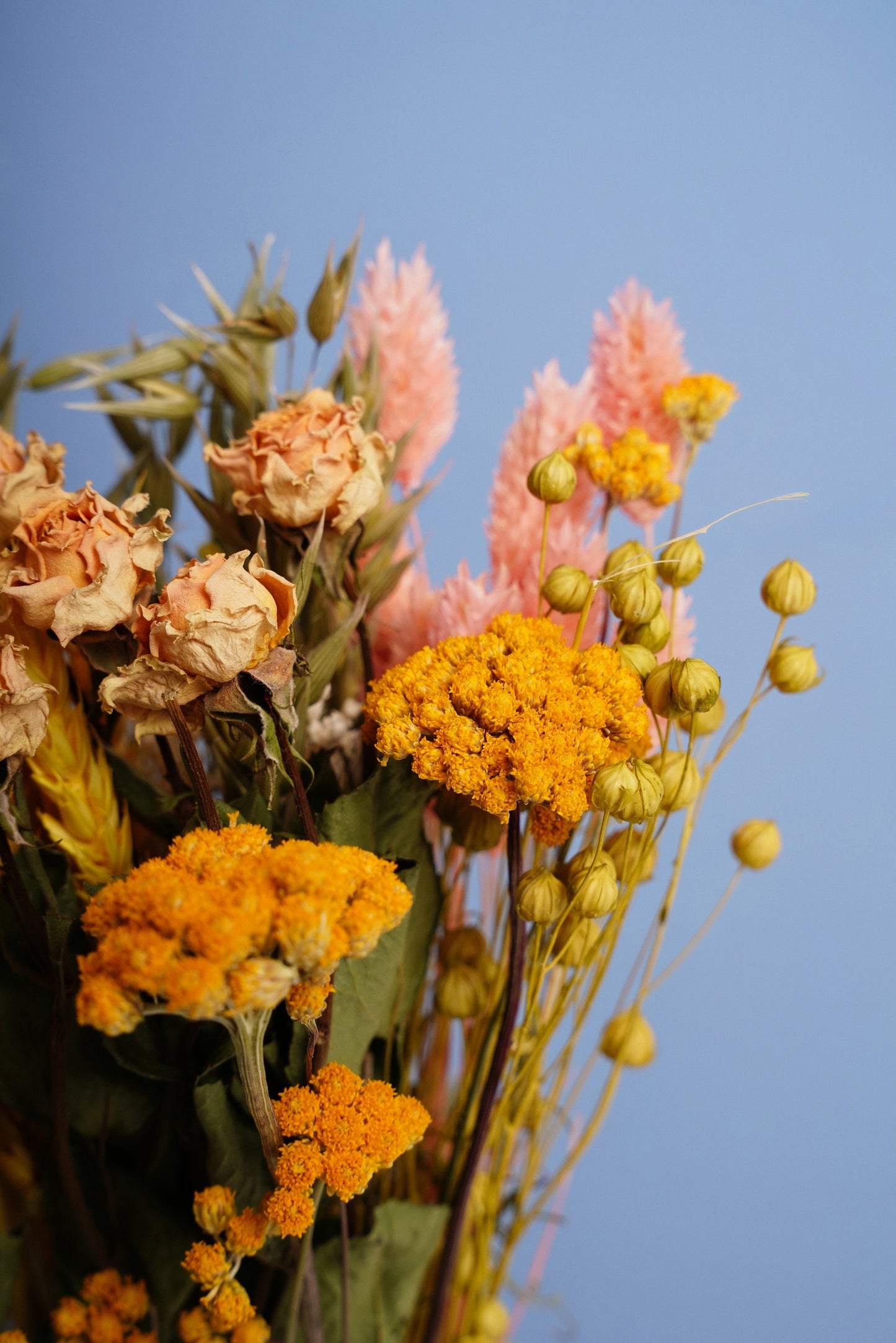 Bouquet Luz
