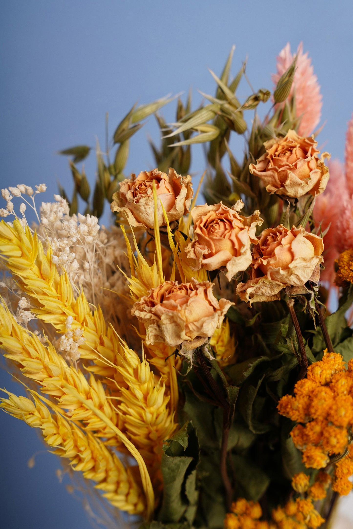 Bouquet Luz