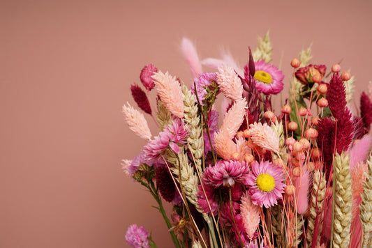 Care for your Blooms