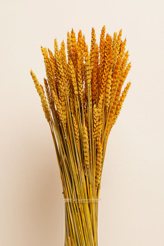 Bouquet Tarwe - Amarelo