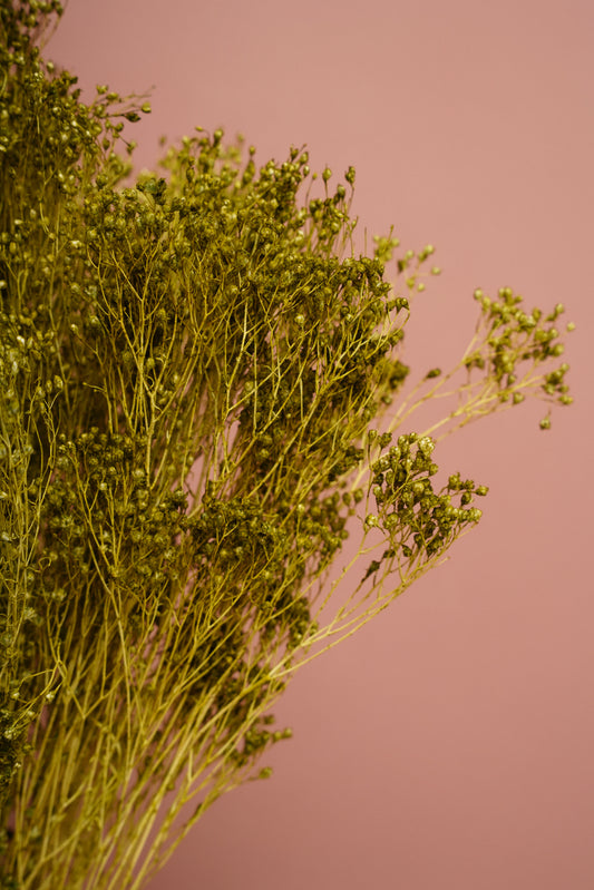 Bouquet Broom Bloom - Verde