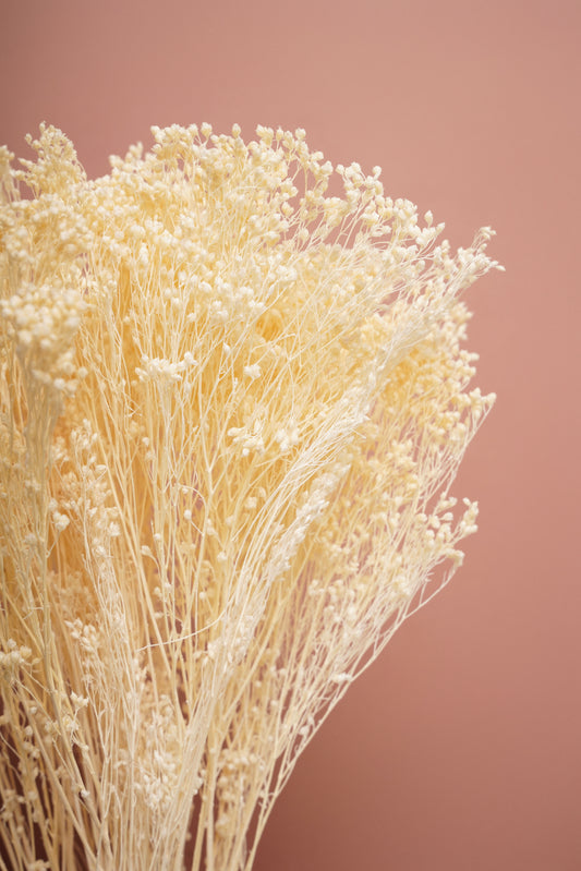 Bouquet Broom Bloom - Branco
