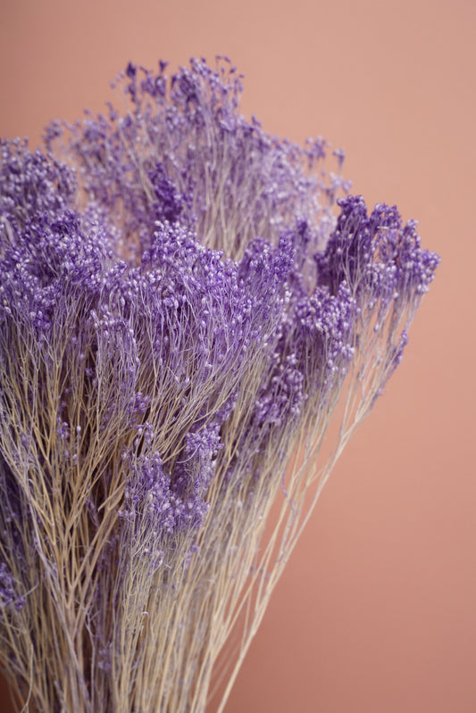 Bouquet Broom Bloom - Roxo