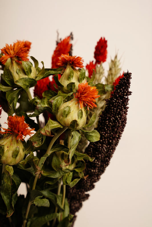 Bouquet Figo